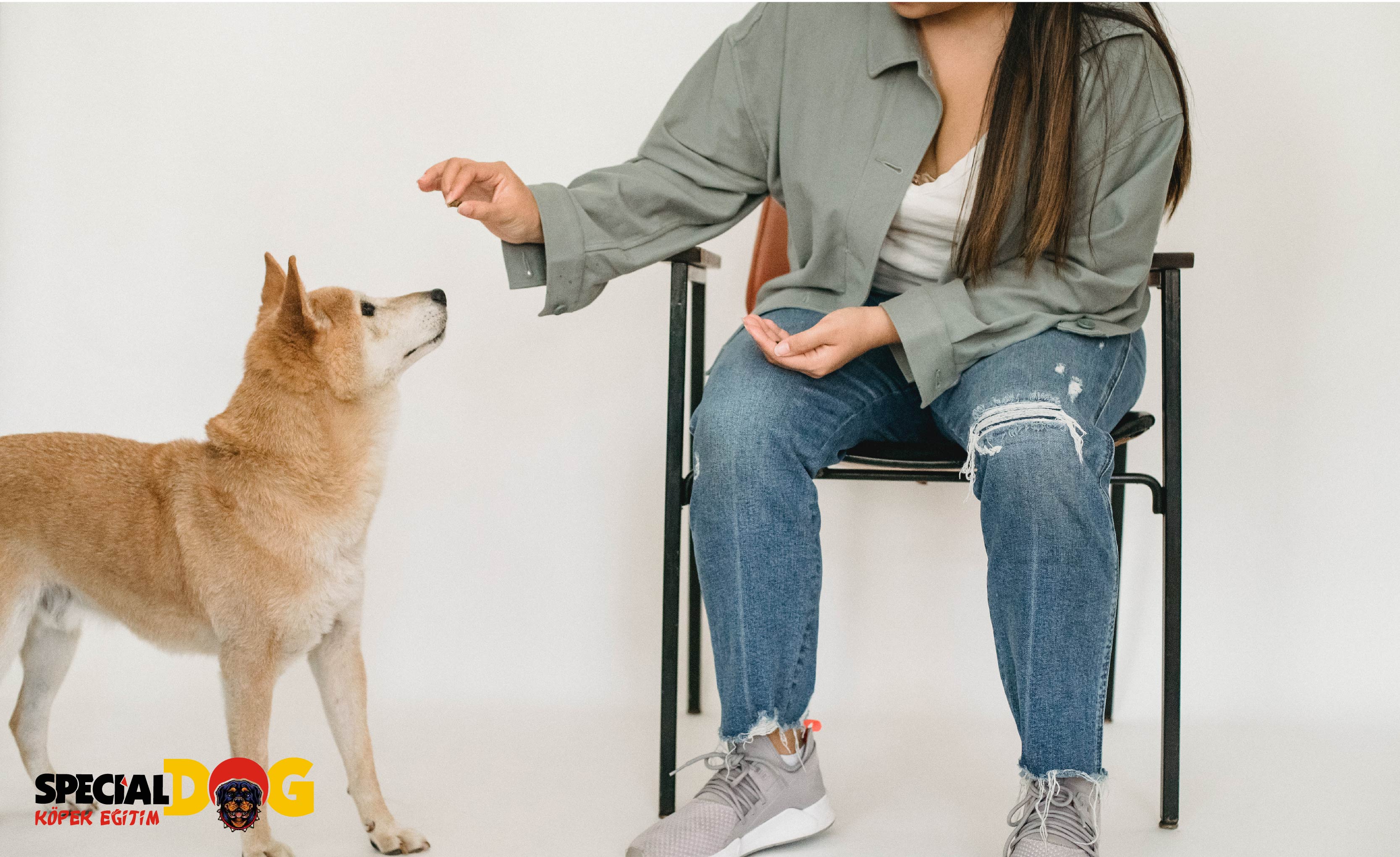 Tuvalet Eğitimi Tuvalet Eğitimi